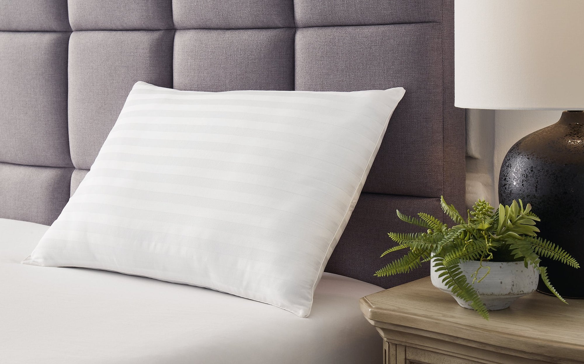 Oreiller en coton Zephyr 2.0 (lot de 2)